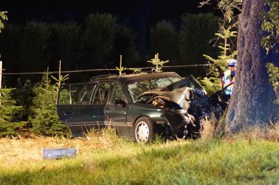 Filderstadt-Sielmingen: Auto prallt gegen Baum- Fahrer stirbt noch an der Unfallstelle